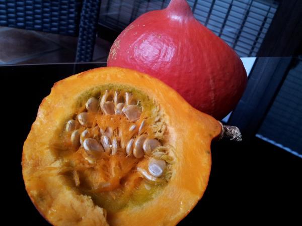 Juha iz pečene buče